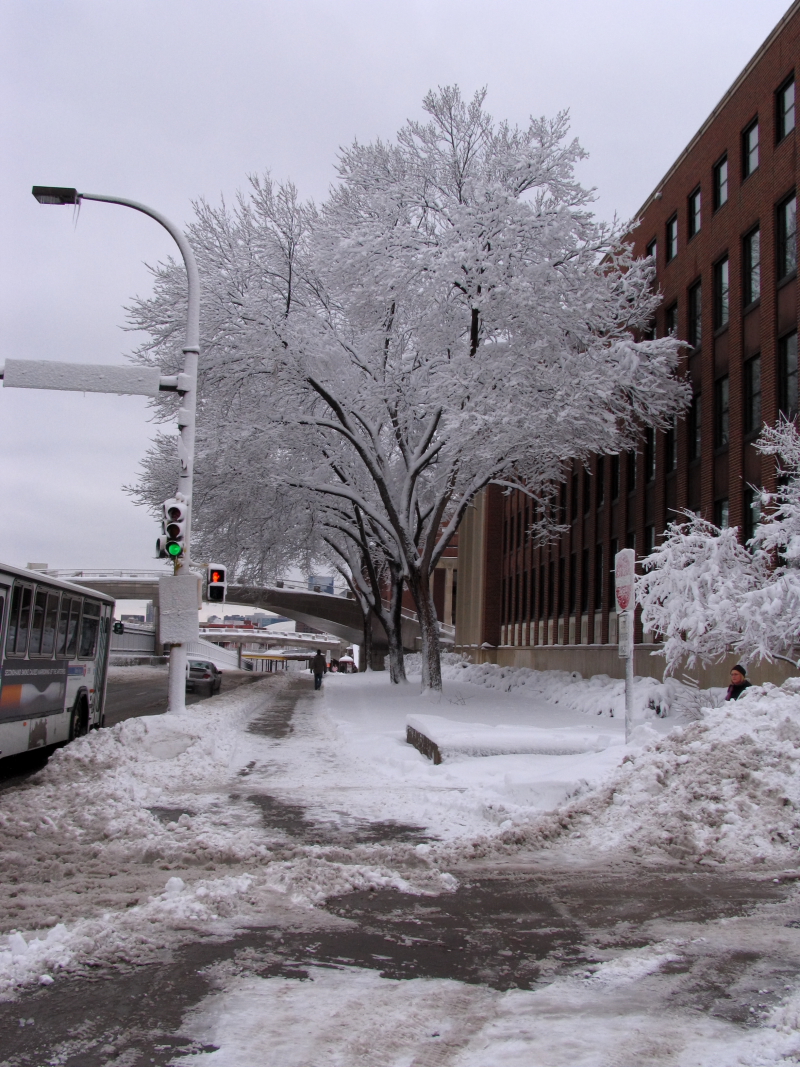 In February 2010, some media pundits cited one large snow storm as evidence against global warming. As comedian Jon Stewart pointed out, ‘It’s one storm, in one region, of one country.’